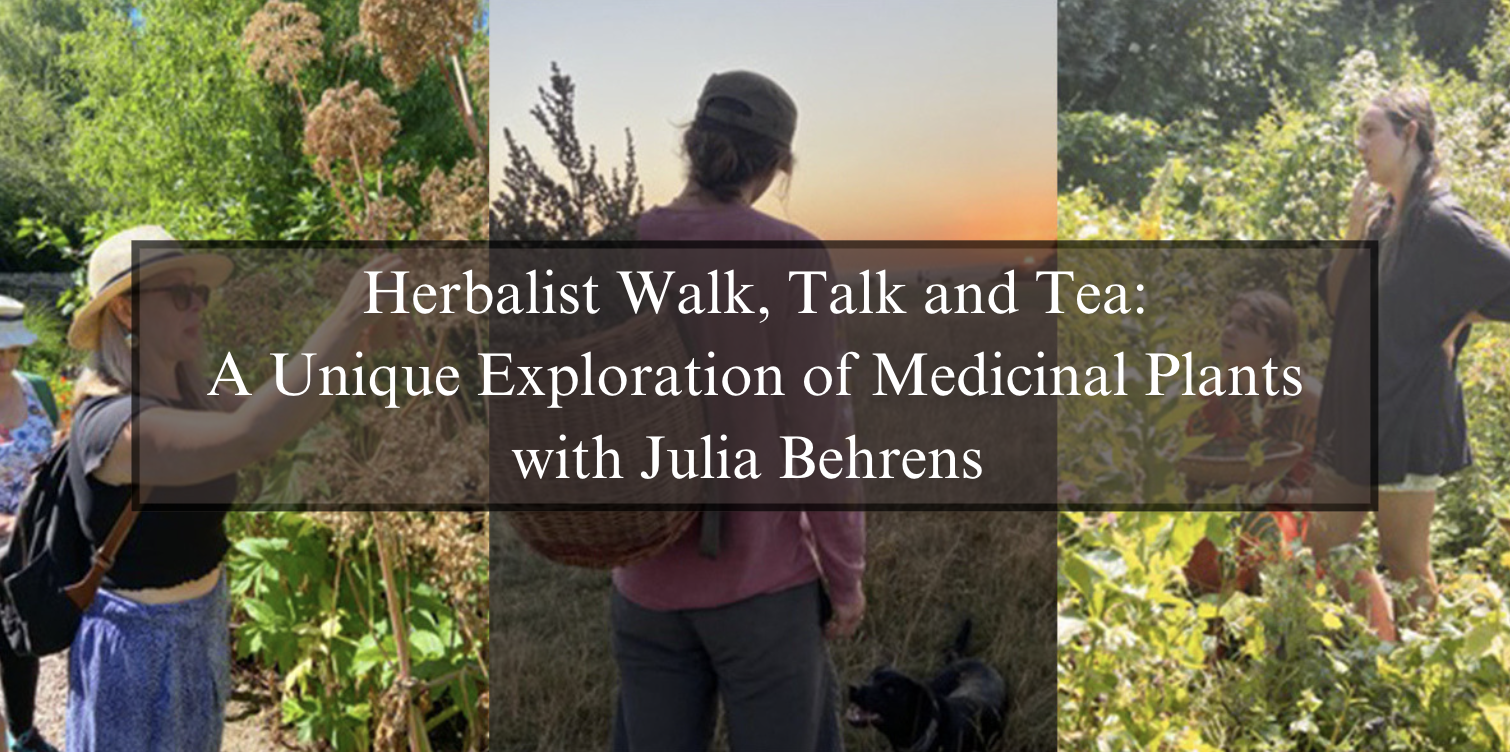 Herbalist Walk, Talk and Tea: A Unique Exploration of Medicinal Plants with Julia Behrens